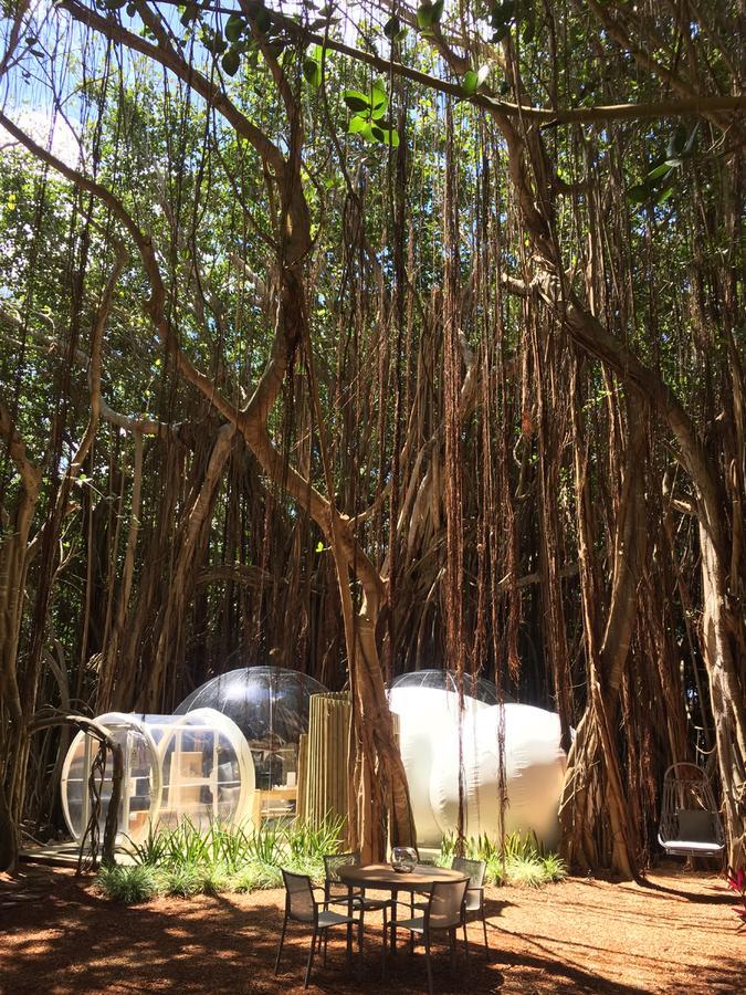 Bubble Lodge Ile Aux Cerfs Island מראה חיצוני תמונה