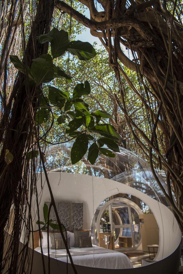 Bubble Lodge Ile Aux Cerfs Island מראה חיצוני תמונה